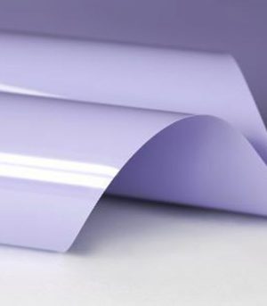 Lilac 500 1