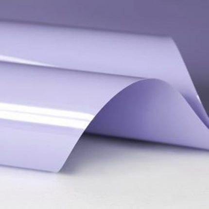 Lilac 500 1