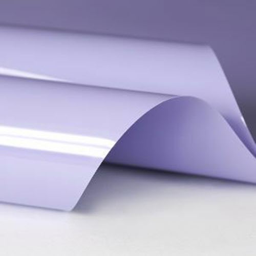 Lilac 500 1