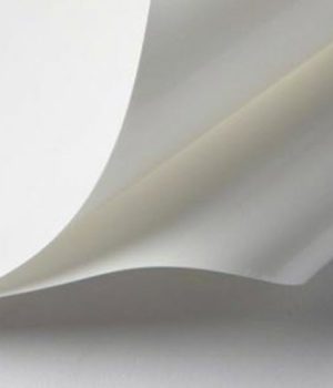 White 500 1