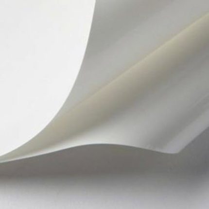 White 500 1