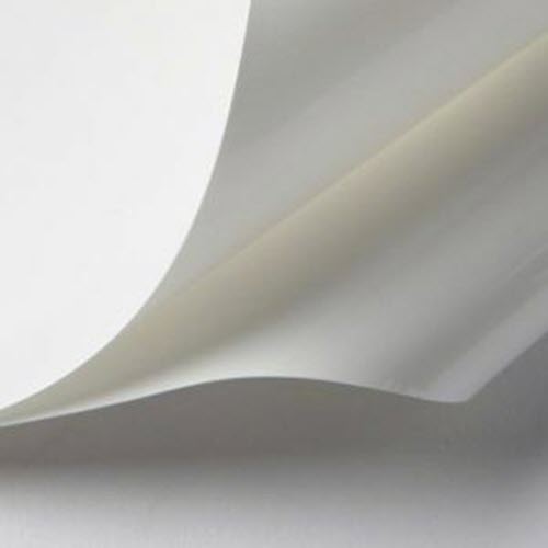 White 500 1