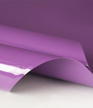 purple 500 500 1
