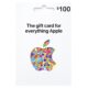 apple 100 1