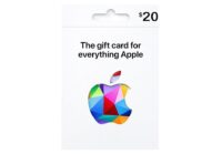 apple 20 1