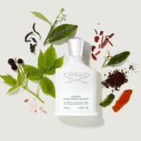 creed silver mountain water2