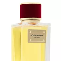 dolcegabbana velvet desire gal 5