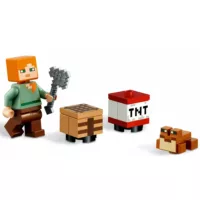 lego minecraft 21240 bolotnoe priklyuchenie 5