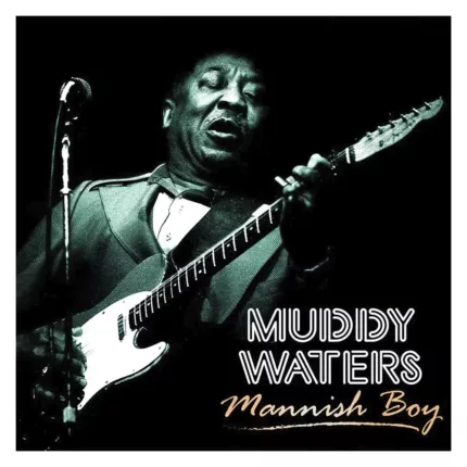 muddy waters mannish boy lp