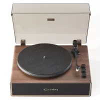 stave record player